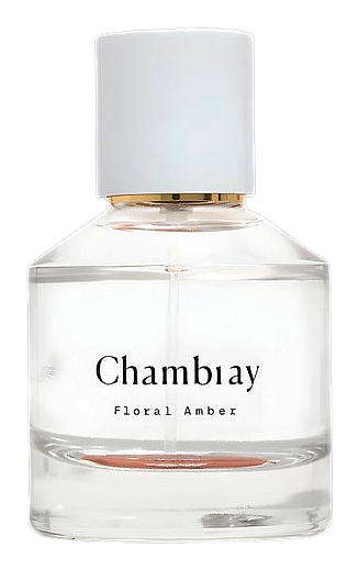Chambray by Madewell