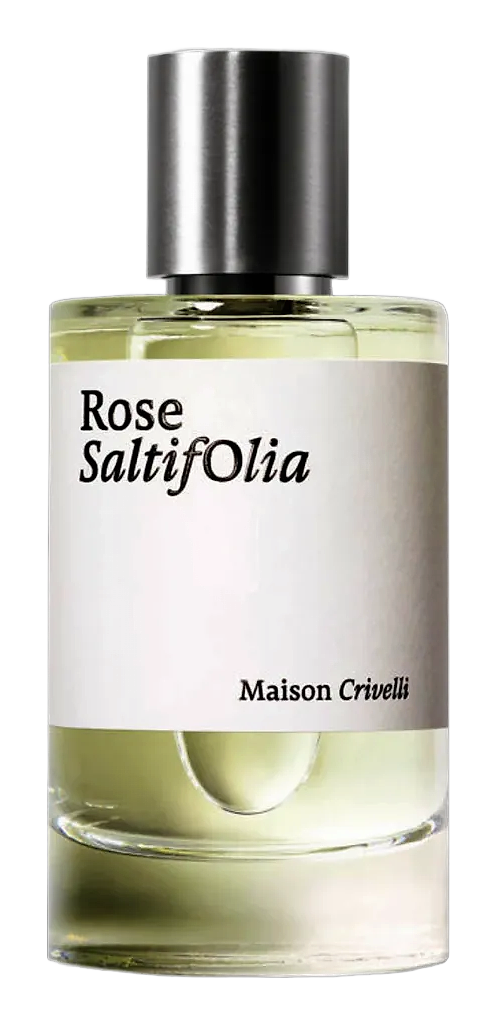 Rose Saltifolia by Maison Crivelli