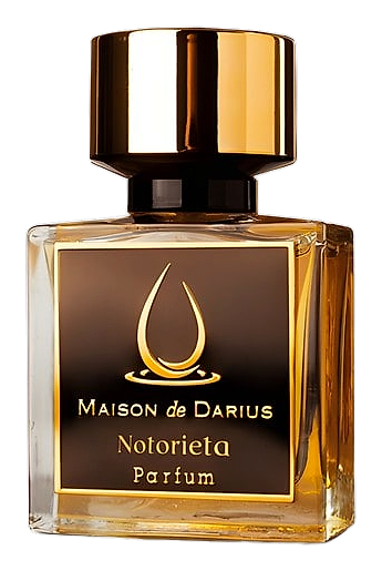 Notorieta by Maison de Darius