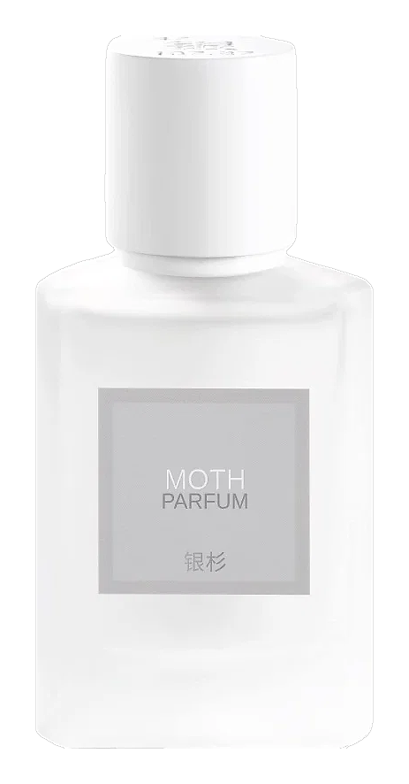Moth 蛾 by Maison Shan 银杉