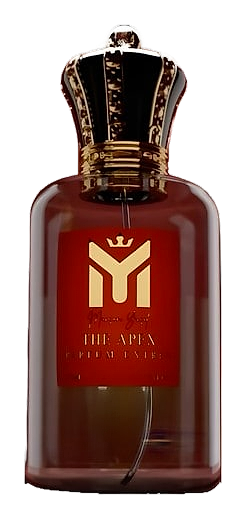 The Apex by Maison Yusif