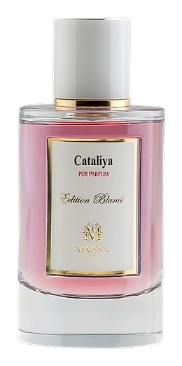 Cataliya by Maïssa Parfums