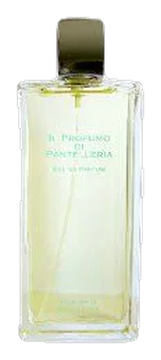 Intense Instant Crush by Mancera