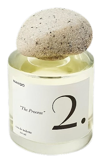 2. The Process by Mango