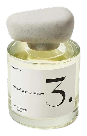 3. Develop Your Dream by Mango