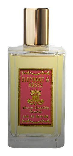 Elephant & Roses by Maria Candida Gentile
