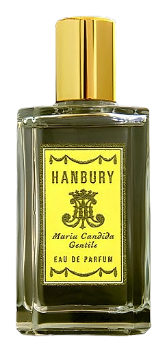 Hanbury by Maria Candida Gentile