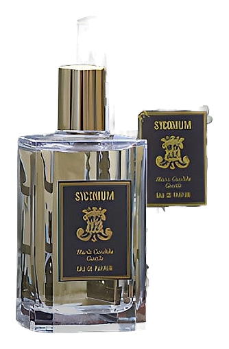Syconium by Maria Candida Gentile