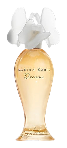 Dreams by Coach