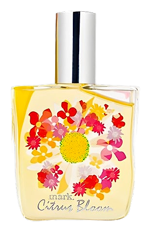 mark Citrus Bloom by mark.