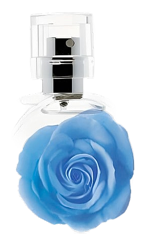 mark Garden Blu by mark.