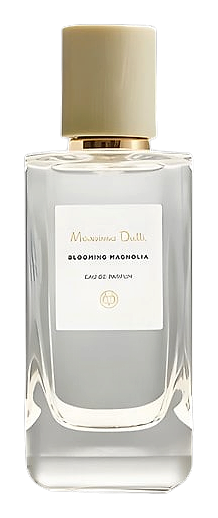 Blooming Magnolia by Massimo Dutti