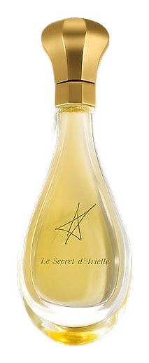 Le Secret d'Arielle Extrait by Mauboussin