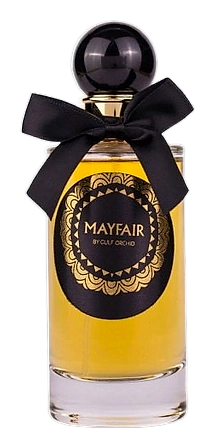 Mayfair by Gulf Orchid