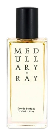 Medullary-ray by Jorum Studio