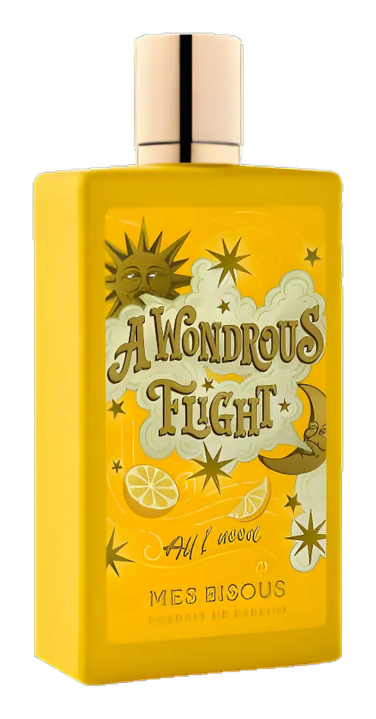 A Wondrous Flight by Mes Bisous