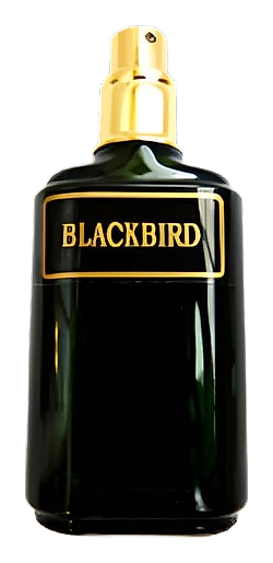 Blackbird by Meshaz Natural Perfumes