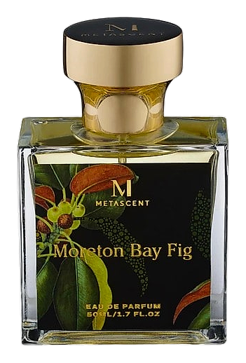 Moreton Bay Fig by MetaScent