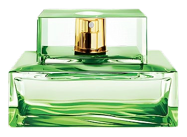 Island Palm Beach by Michael Kors