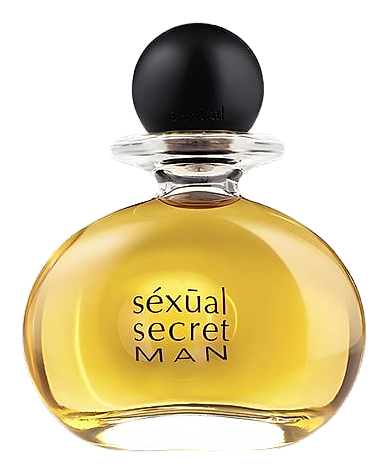 Sexual Secret Men by Michel Germain