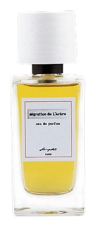 Migration de L'Arbre by Senyokô