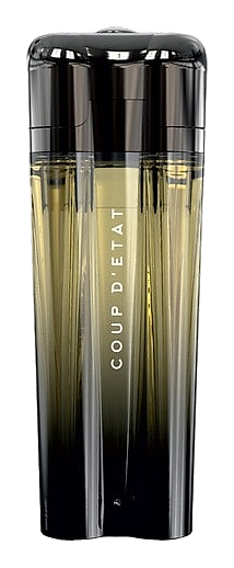 Coup d'Etat by Miles Wambaugh