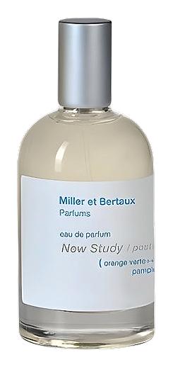 Miller et Bertaux New Study (Postcard)