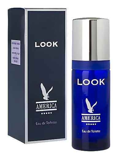 America Look by Milton Lloyd