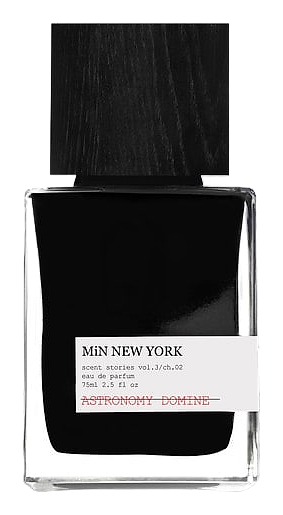 ASTRONOMY DOMINE by MiN NEW YORK