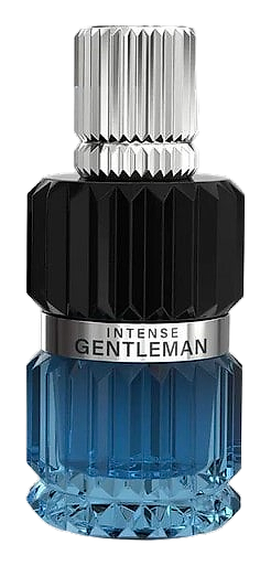 Intense Gentleman by Mirada