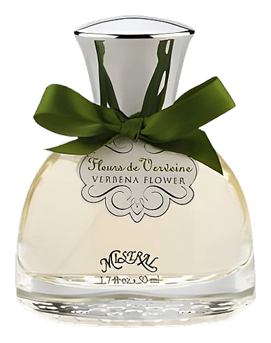 Verbena Flower by Mistral