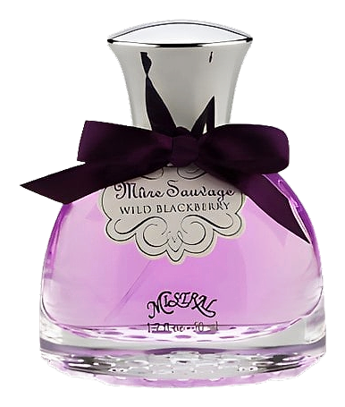 Wild Blackberry by Mistral