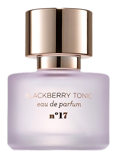 Blackberry Tonic by Mix:Bar