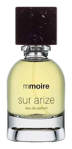 Sur Arize by Mmoire