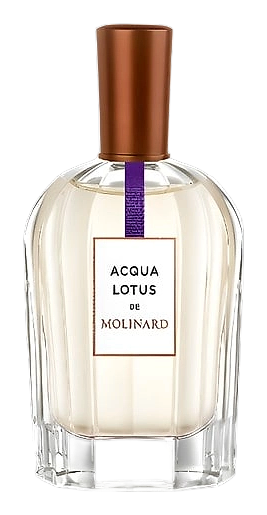 Acqua Lotus by Molinard