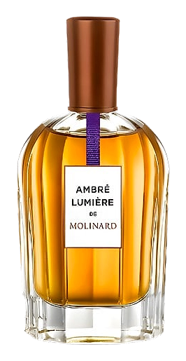 Ambre Lumiere by Molinard