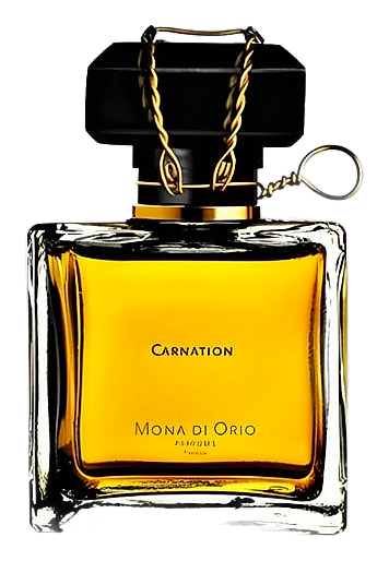 Carnation by Mona di Orio