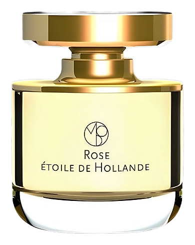 Rose Etoile De Hollande by Mona di Orio