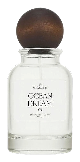 Ocean Dream by Monkoku