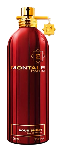 Aoud Shiny by Montale