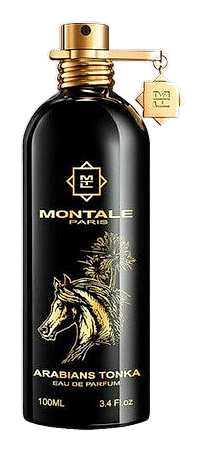 Arabians Tonka by Montale