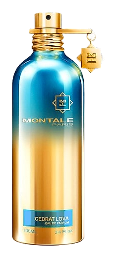 Cedrat Lova by Montale