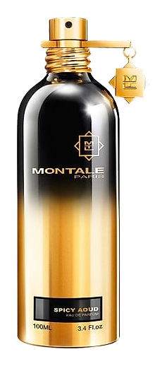 Spicy Aoud by Montale