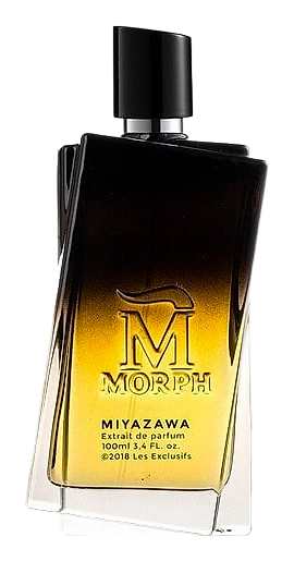 Miyazawa by Morph