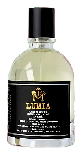 Lumia by Moudon