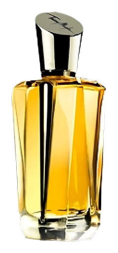 Mugler Mirror Mirror Collection - A Travers Le Miroir