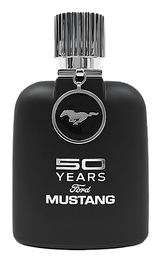 50 Years Mustang Ford for him by Mustang