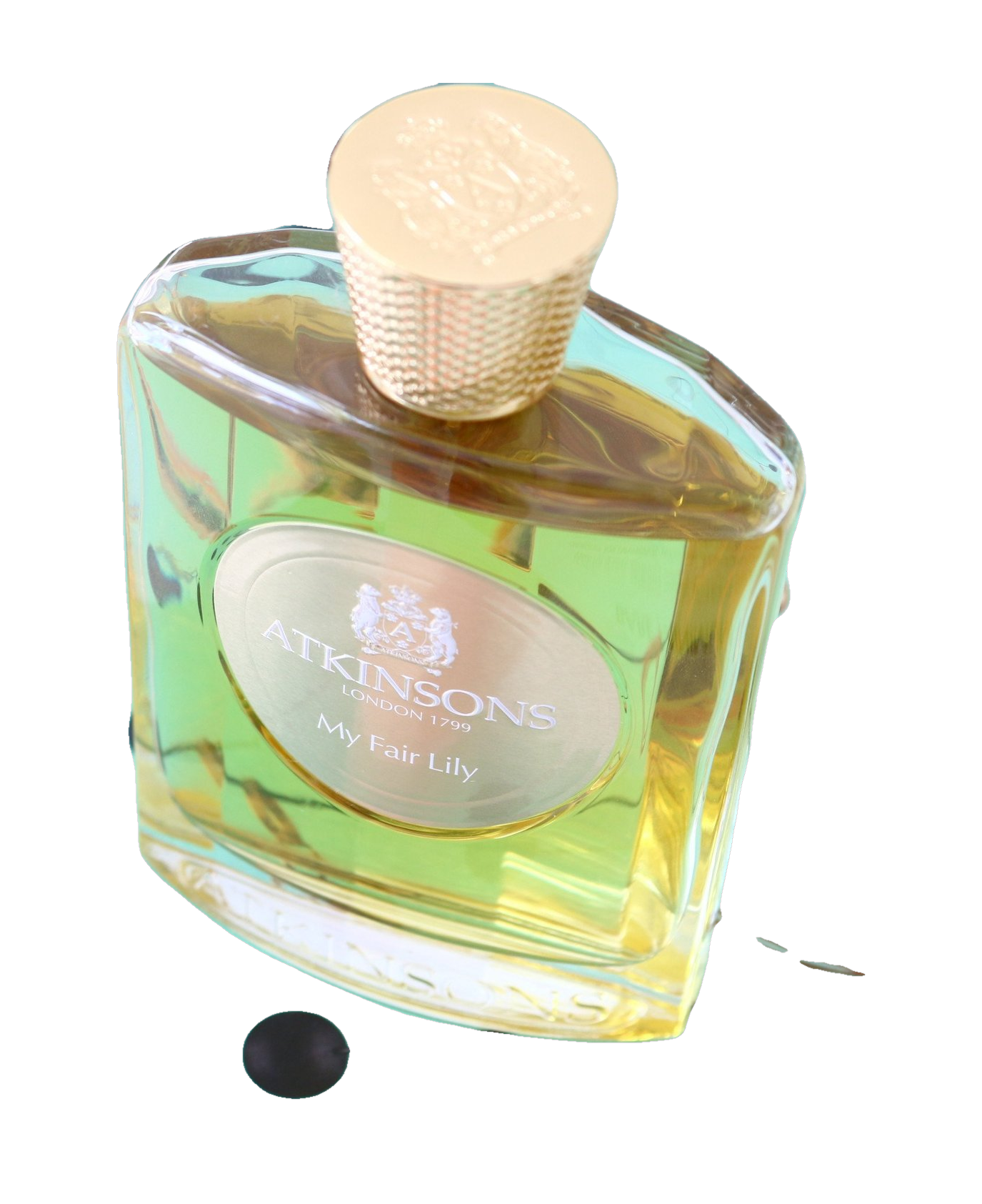 My Fair Lily by Atkinsons