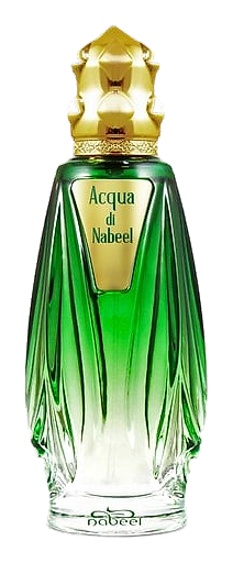 Acqua Di Nabeel by Nabeel