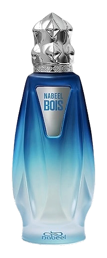 Nabeel Bois